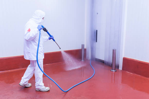 Best Solar Panel Cleaning  in Centre Grove, NJ